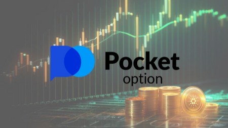 Discovering the World of Pocket Option Site